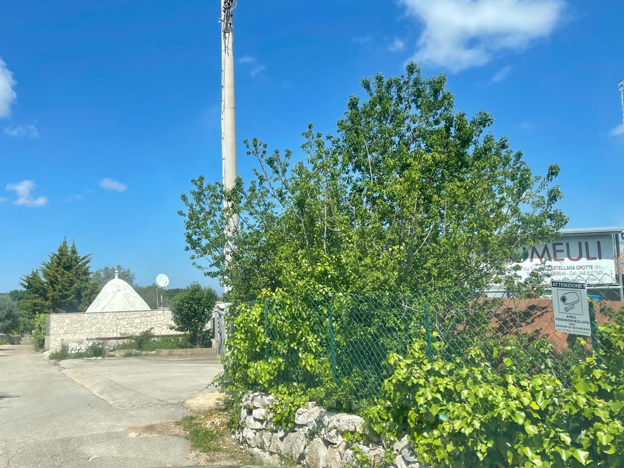 Music House A Castellana Grotte Confinante Via Per Turi 500M Dalle Grotte Dış mekan fotoğraf