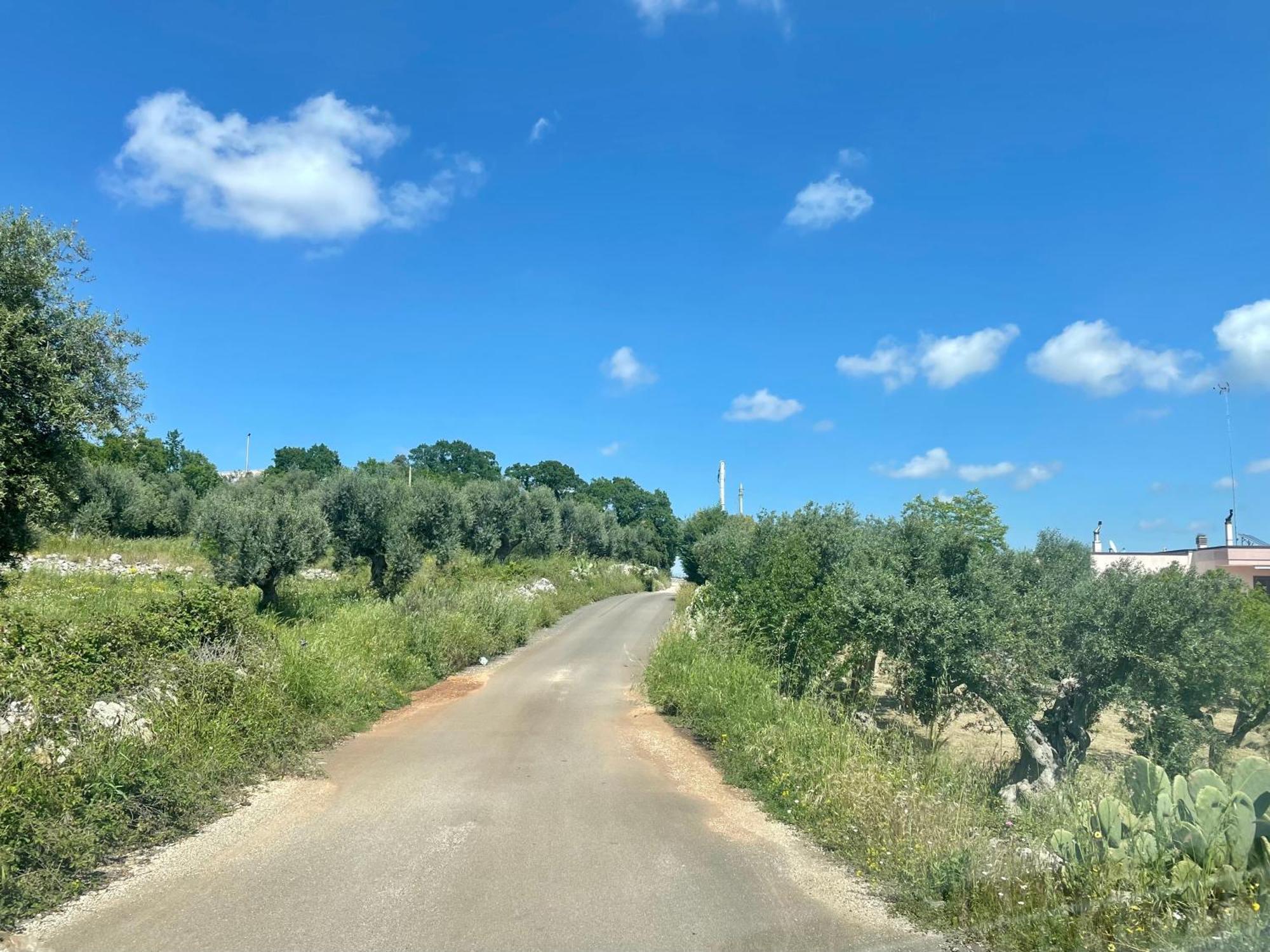 Music House A Castellana Grotte Confinante Via Per Turi 500M Dalle Grotte Dış mekan fotoğraf